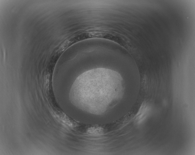 X0000077360271200610201330