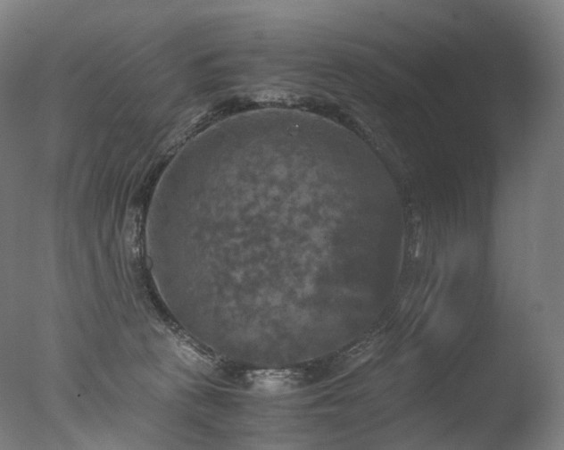 X0000077360273200610201330