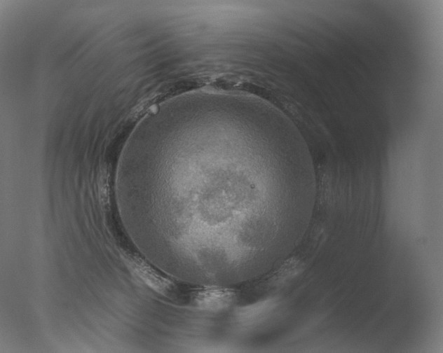 X0000077360274200610201330