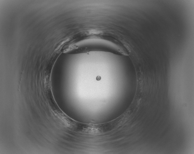 X0000077360276200610201330