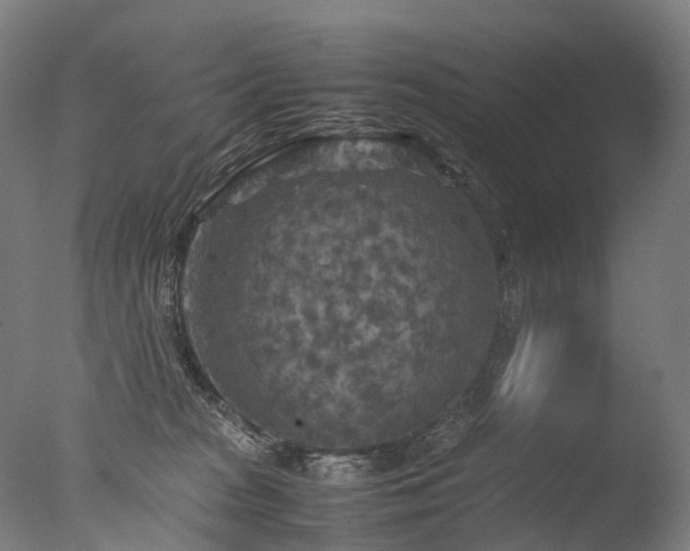 X0000077360277200610201330