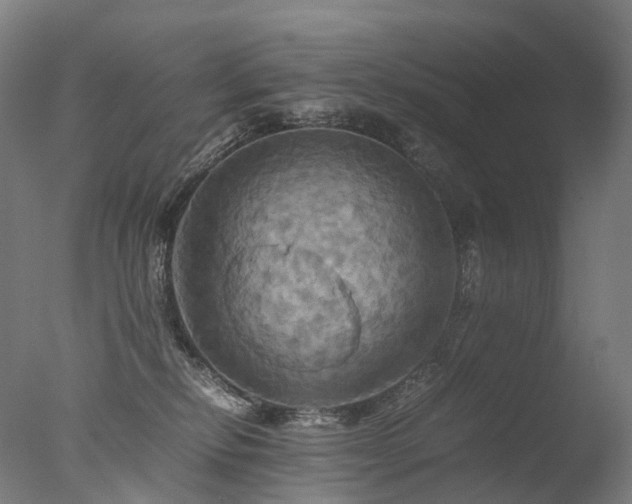 X0000077360278200610201330