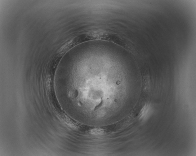 X0000077360279200610201330