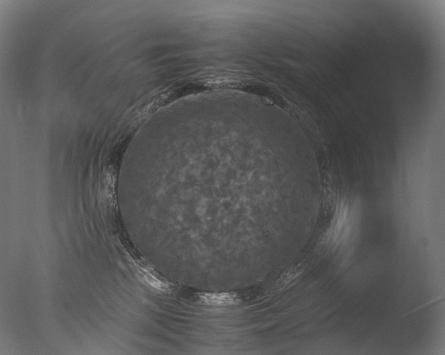 X0000077360281200610201330