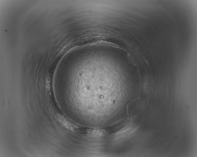 X0000077360282200610201330