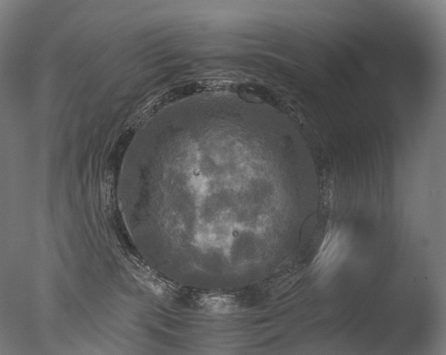 X0000077360283200610201330