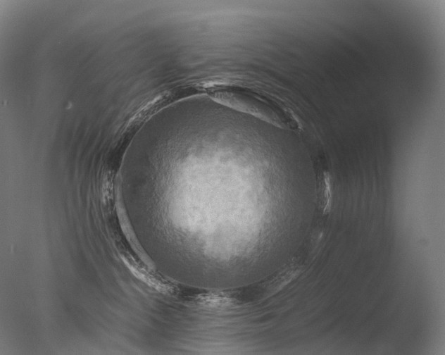 X0000077360284200610201330