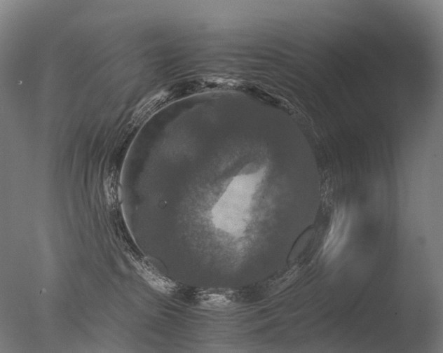 X0000077360285200610201330