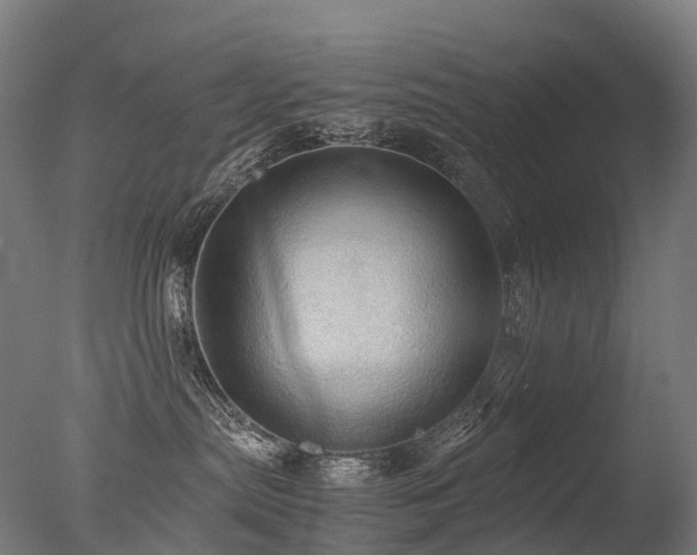 X0000077360287200610201331