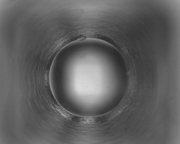 X0000077360288200610201331