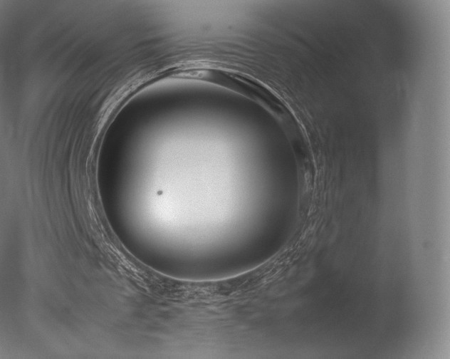 X0000077360289200610201330