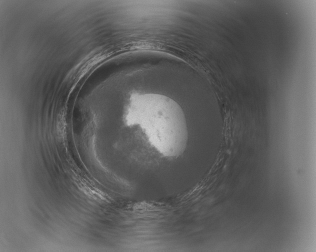 X0000077360290200610201330