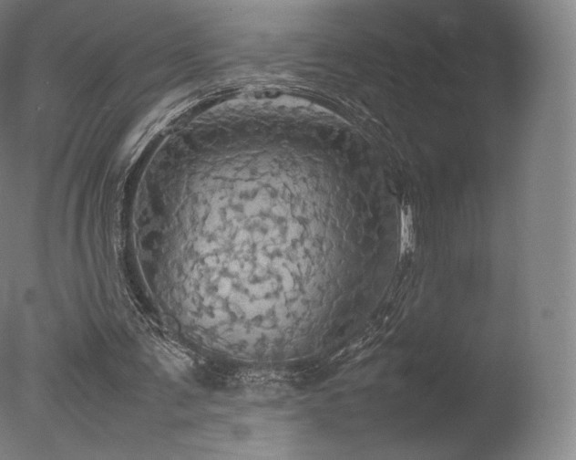 X0000077360291200610201330