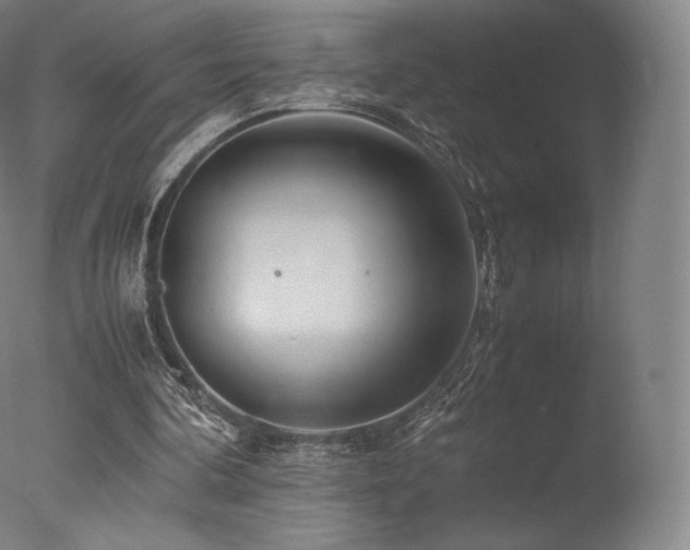 X0000077360292200610201330