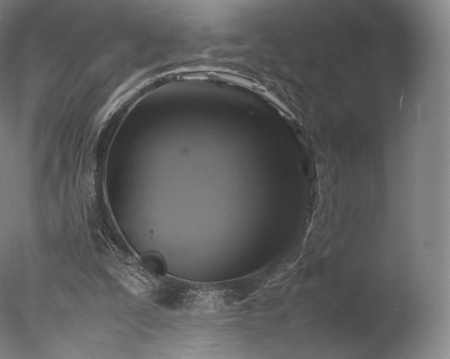 X0000077360295200610201330