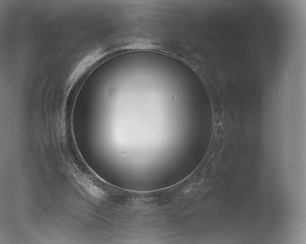 X0000077360296200610201330