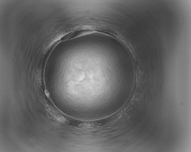 X0000077360297200610201330