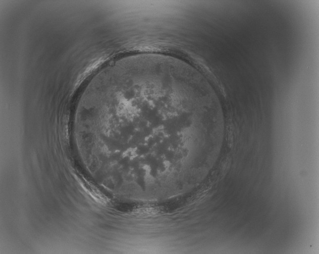 X0000077360299200610201330