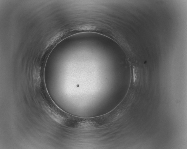 X0000077360300200610201330