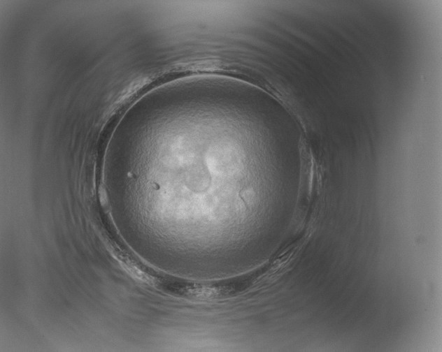 X0000077360301200610201329