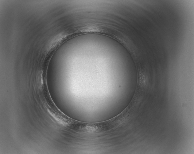 X0000077360302200610201329