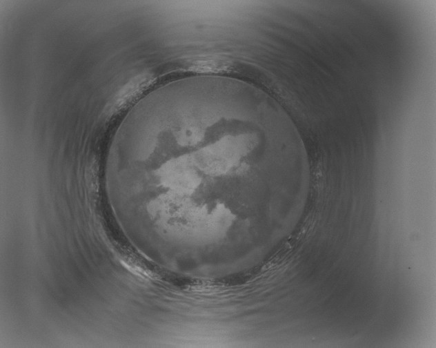 X0000077360303200610201329