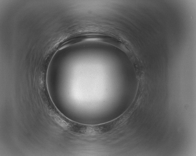 X0000077360305200610201329