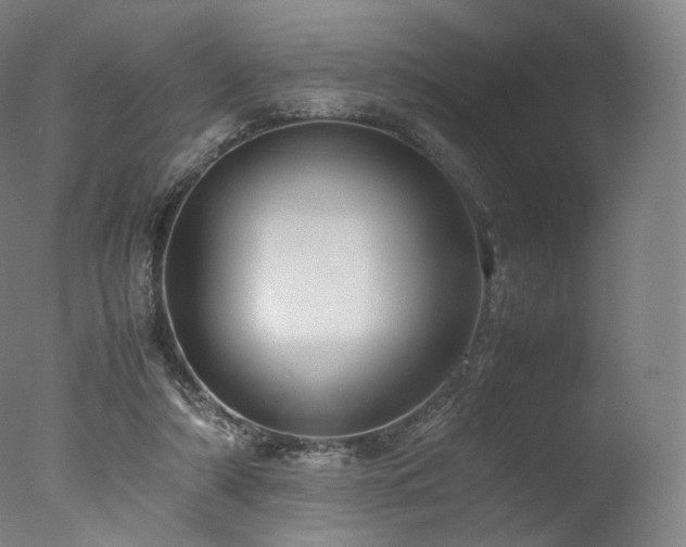 X0000077360306200610201329