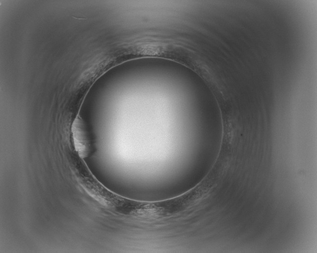 X0000077360307200610201329