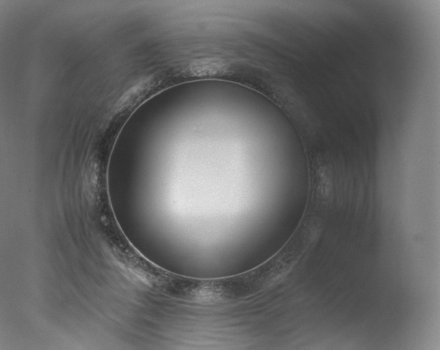 X0000077360308200610201329