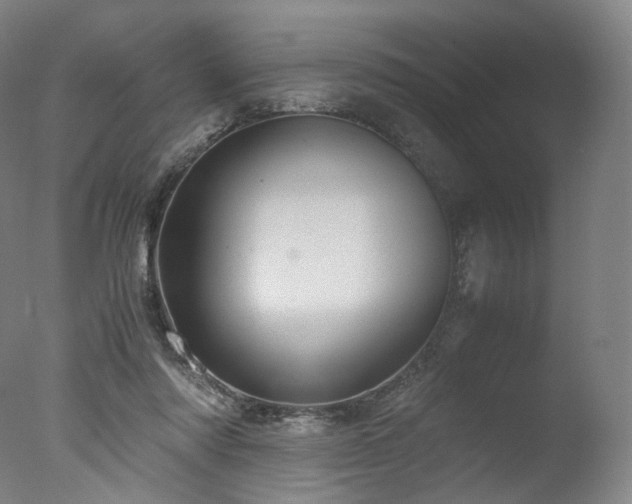 X0000077360310200610201329