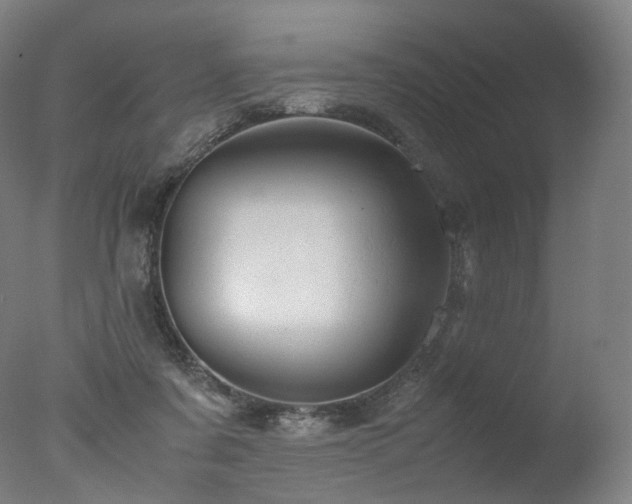 X0000077360311200610201329