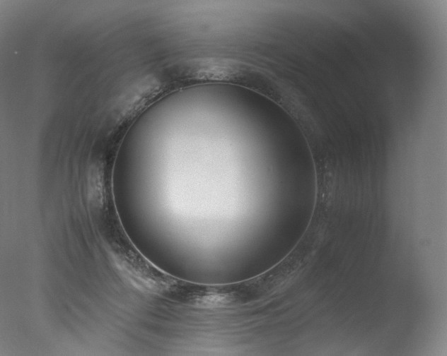 X0000077360312200610201329