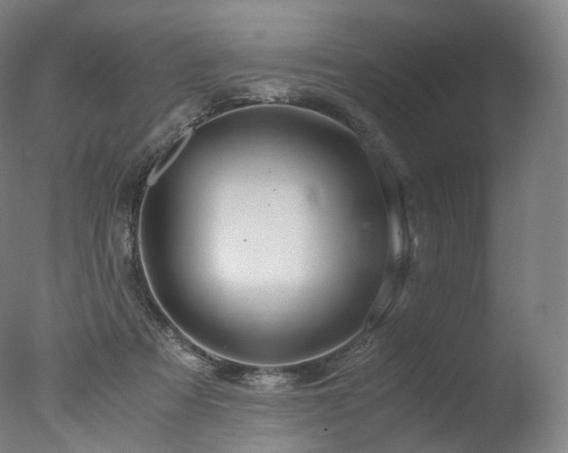 X0000077360313200610201329