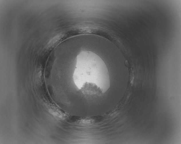 X0000077360314200610201329