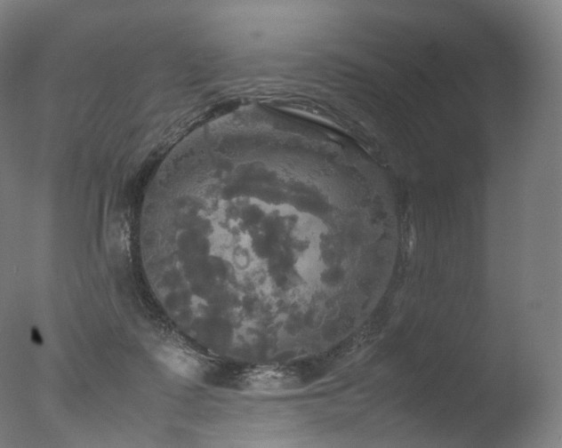 X0000077360315200610201329