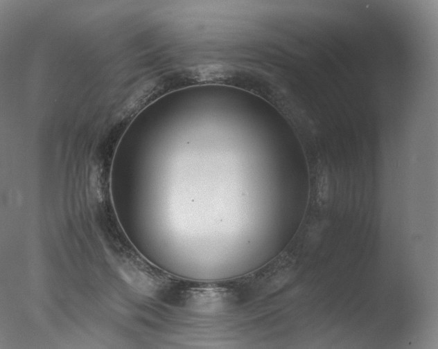 X0000077360316200610201329