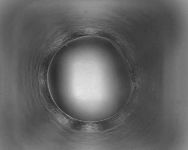 X0000077360317200610201329