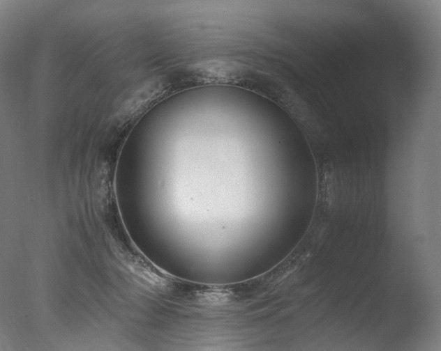 X0000077360318200610201329