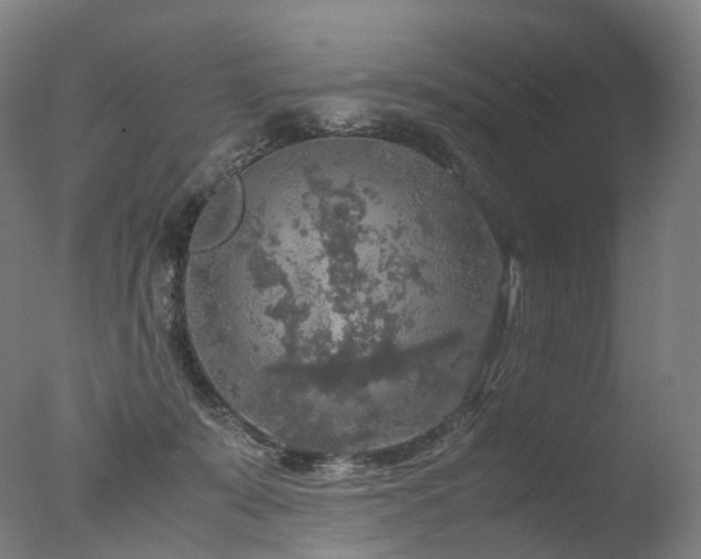 X0000077360319200610201329