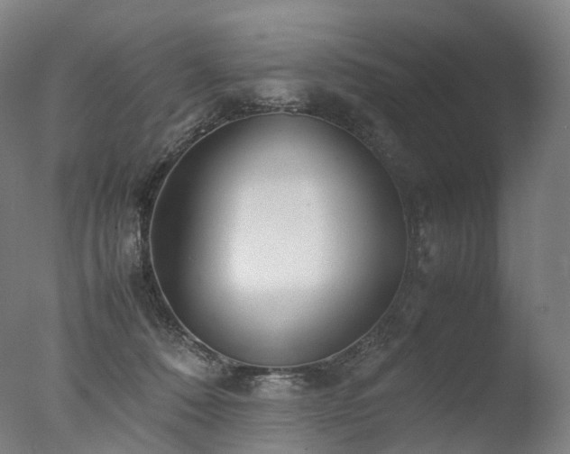 X0000077360320200610201329