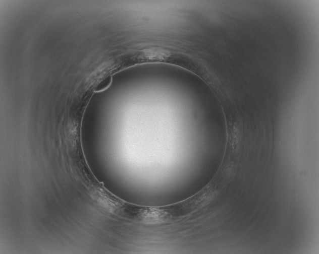 X0000077360321200610201329