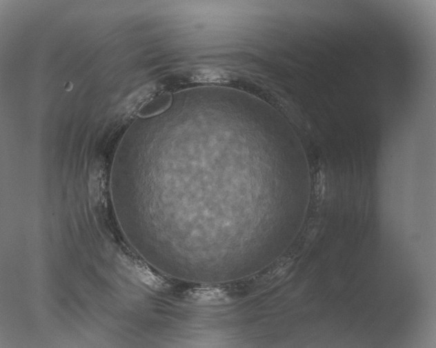 X0000077360322200610201329