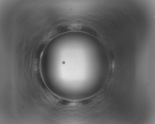 X0000077360323200610201329