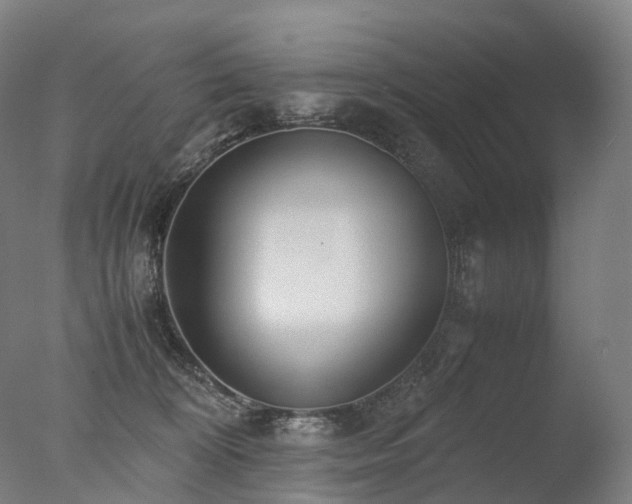 X0000077360324200610201329