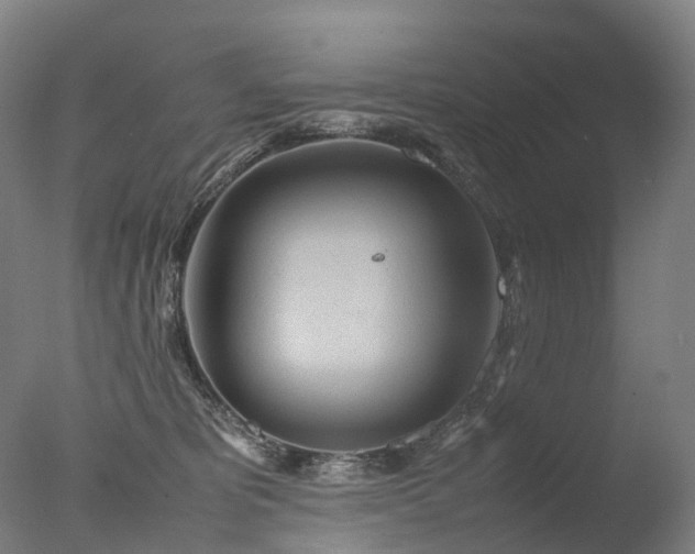 X0000077360325200610201329