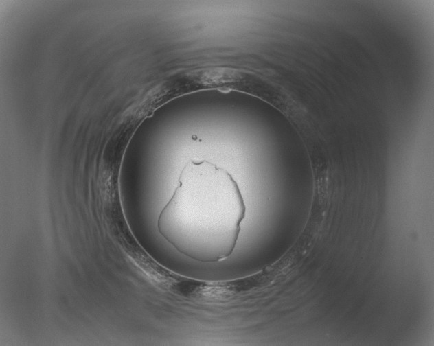 X0000077360327200610201329