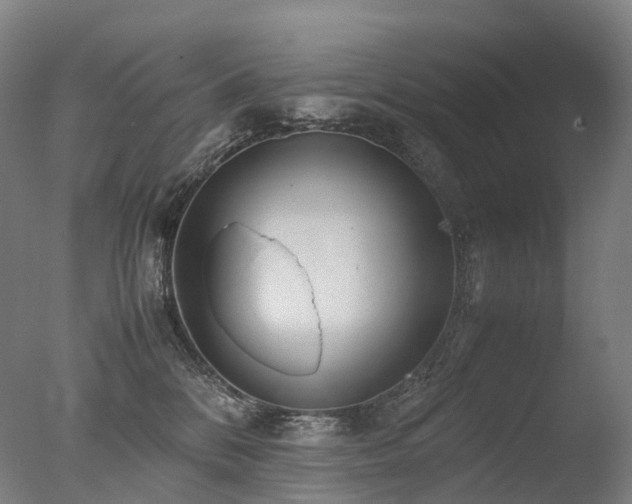 X0000077360328200610201329