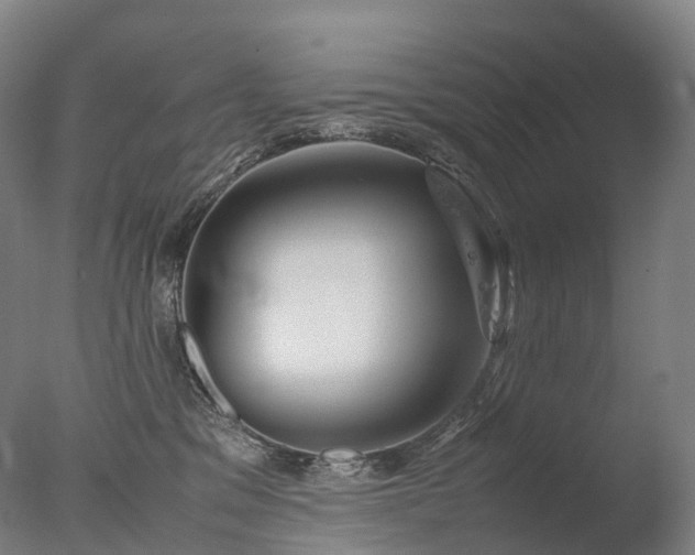 X0000077360329200610201329