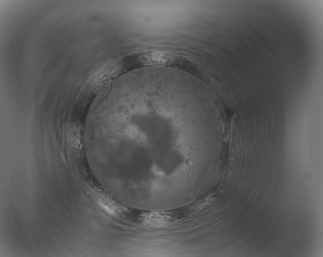 X0000077360331200610201329